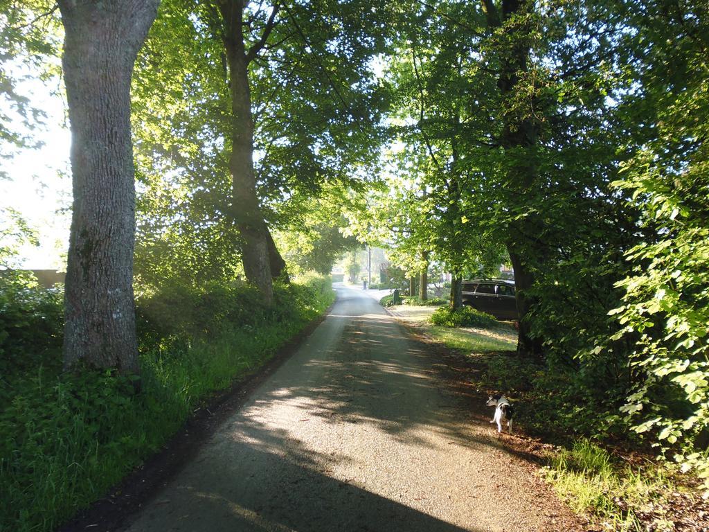 B&B V.K. Pgmbh St. Vith Eksteriør bilde